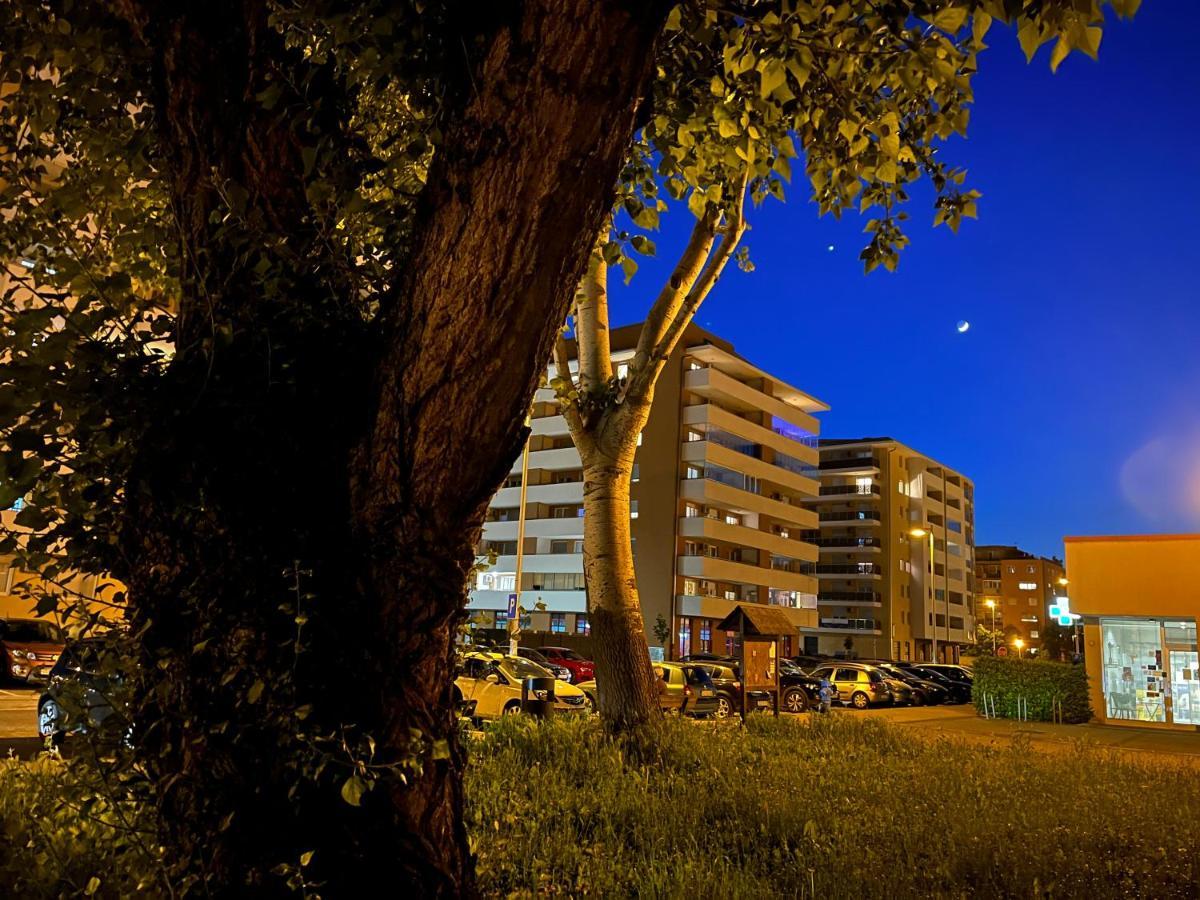 Zagreb Borovje New Free Garage Apartment ภายนอก รูปภาพ
